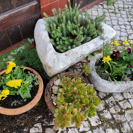 Stone Obidos